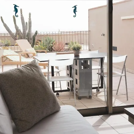 Casa Medano Apartment, In Front Of The